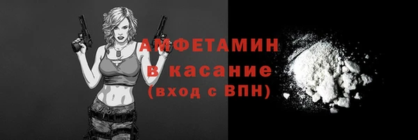 ECSTASY Алзамай