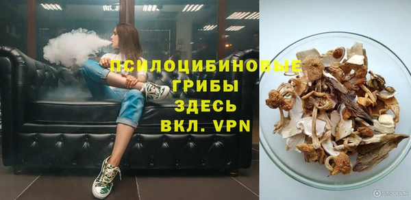 spice Нягань
