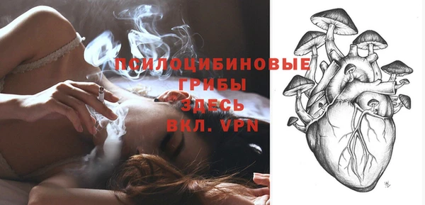 прущая мука Няндома